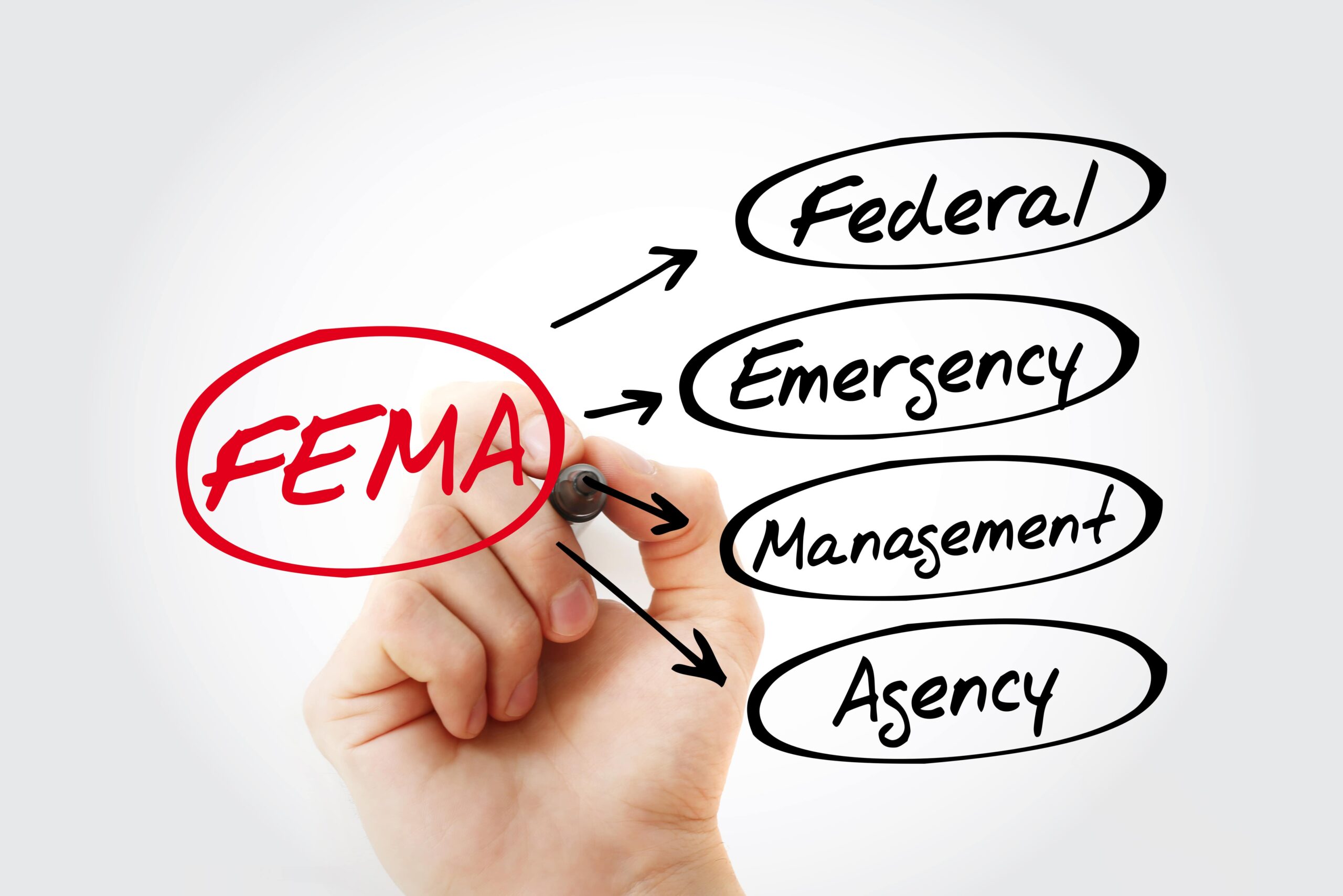 graphic of the sections of fema